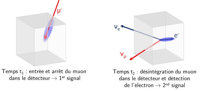 "Desintegration_mu_detect.png"